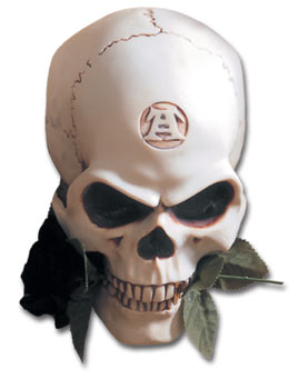 Lifesize Anima Wall Mask
