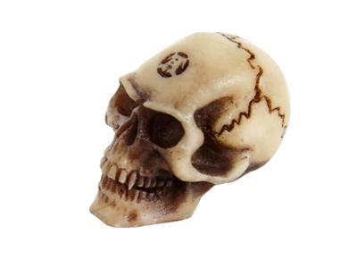 Lapillus Worry Skull